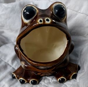 70's Frog Scrubby Holder